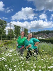Twee plantenkwekers in een bloemenveld. Schapenwolkjes in een strakblauwe lucht.
